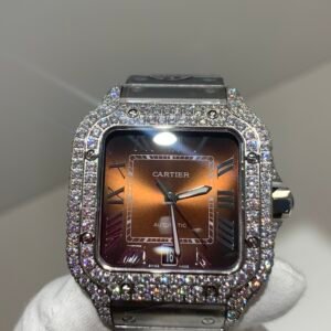 CARTIER Super Clone Watch 1:1SANTOS W4SA0005